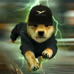 Dogwifhat Lightning Strike